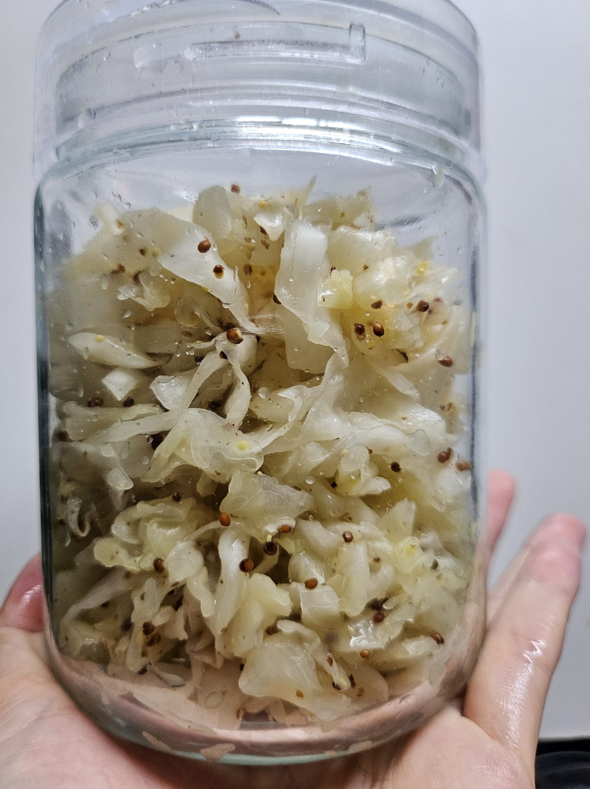 Easy Homemade Sauerkraut Recipe: A Simple, Mindful Way to Boost Gut Health